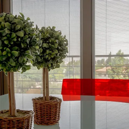 Olivier Appartement *